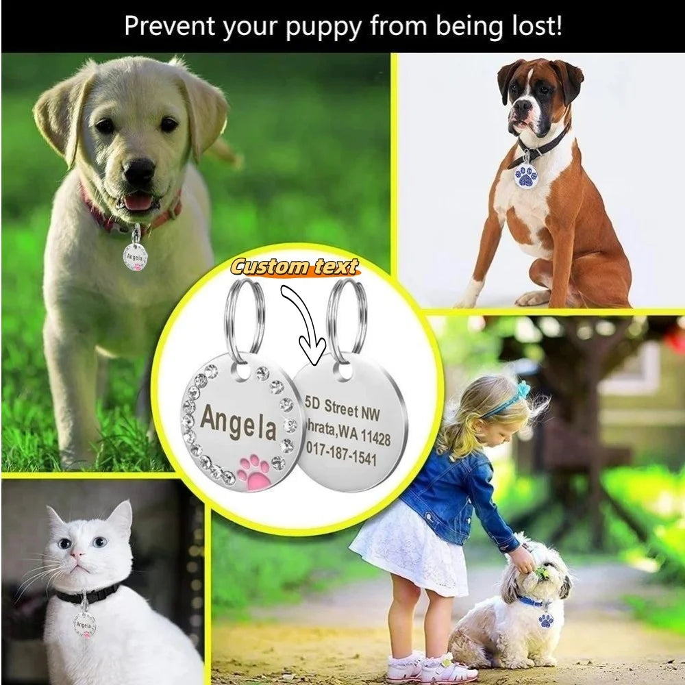 Stainless Steel Pet ID Tag with CZ Diamonds, in Multiple Colors
