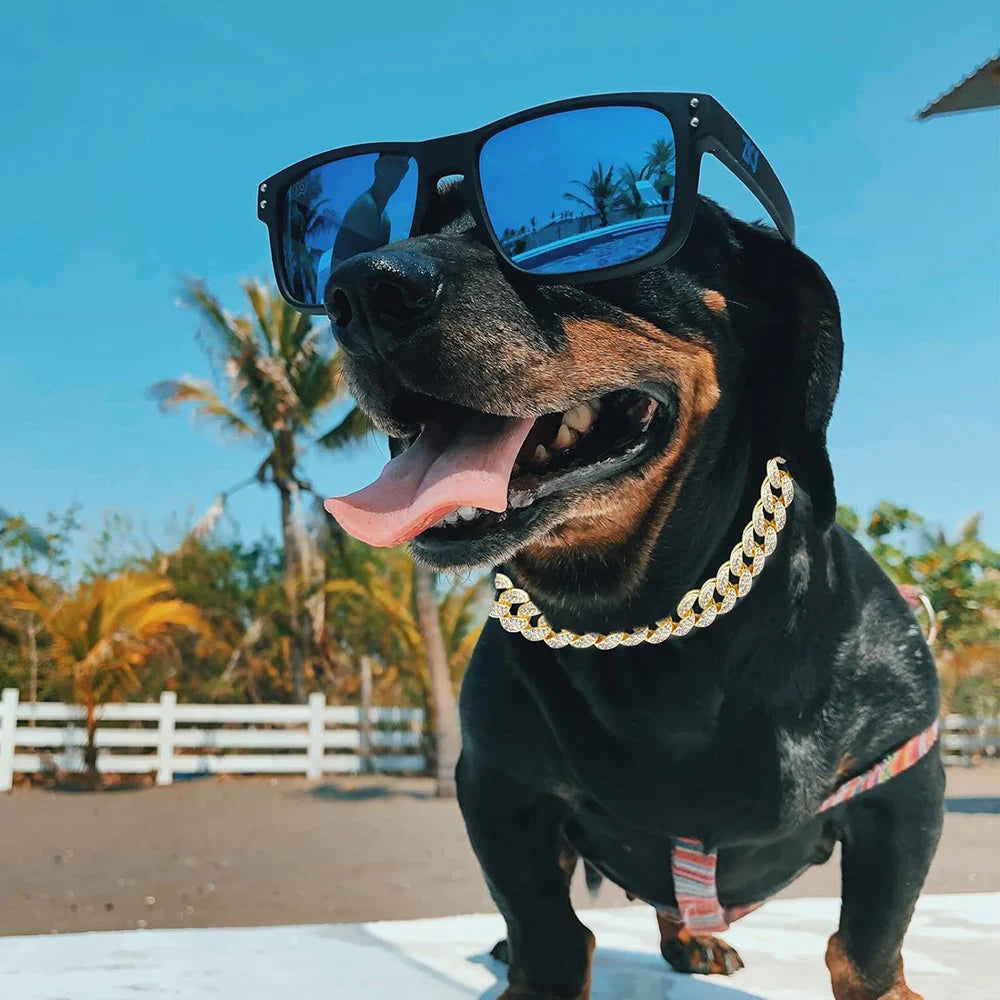 Cuban Gold Chain with Rhinestones for Dogs - Luxury, Not Adjustable