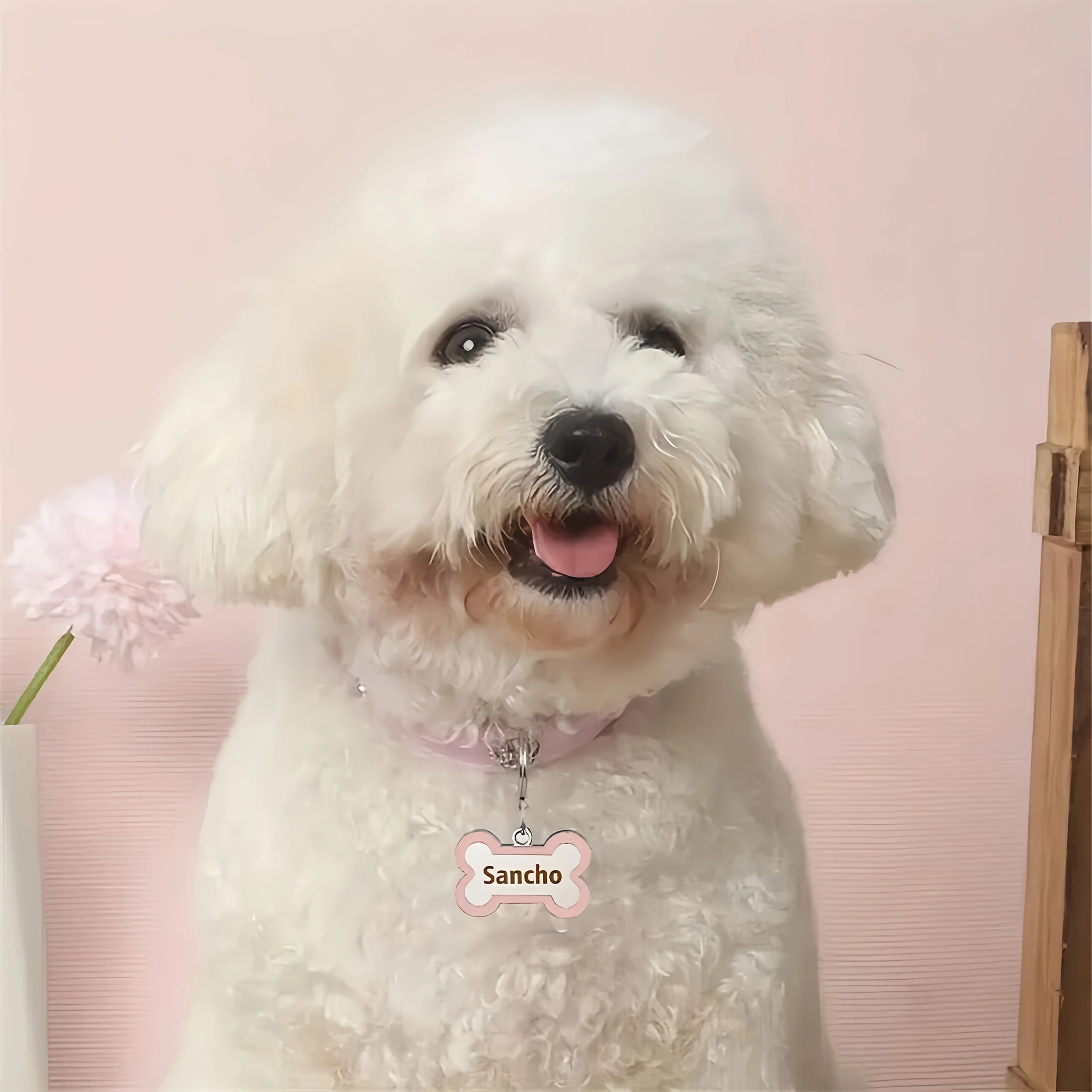 PU Leather Dog Collar with Bone-Shaped Pet Tag, Double-Sided, Engraved Pet Name and Phone