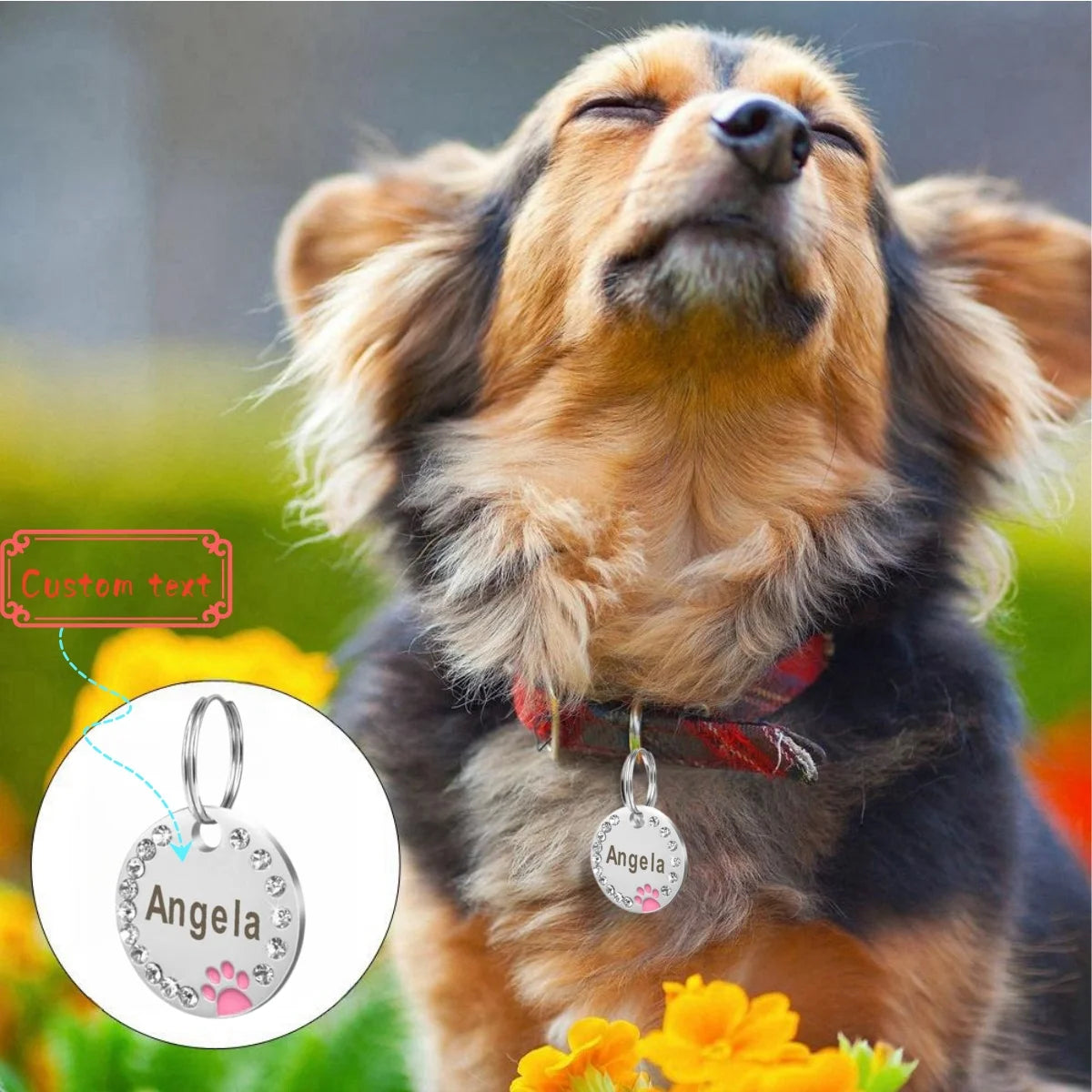 Stainless Steel Pet ID Tag with CZ Diamonds, in Multiple Colors