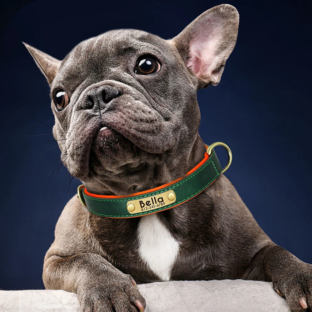 Faux Leather Adjustable Pet Collar - Customize, Engrave, Name Tag, ID Necklace