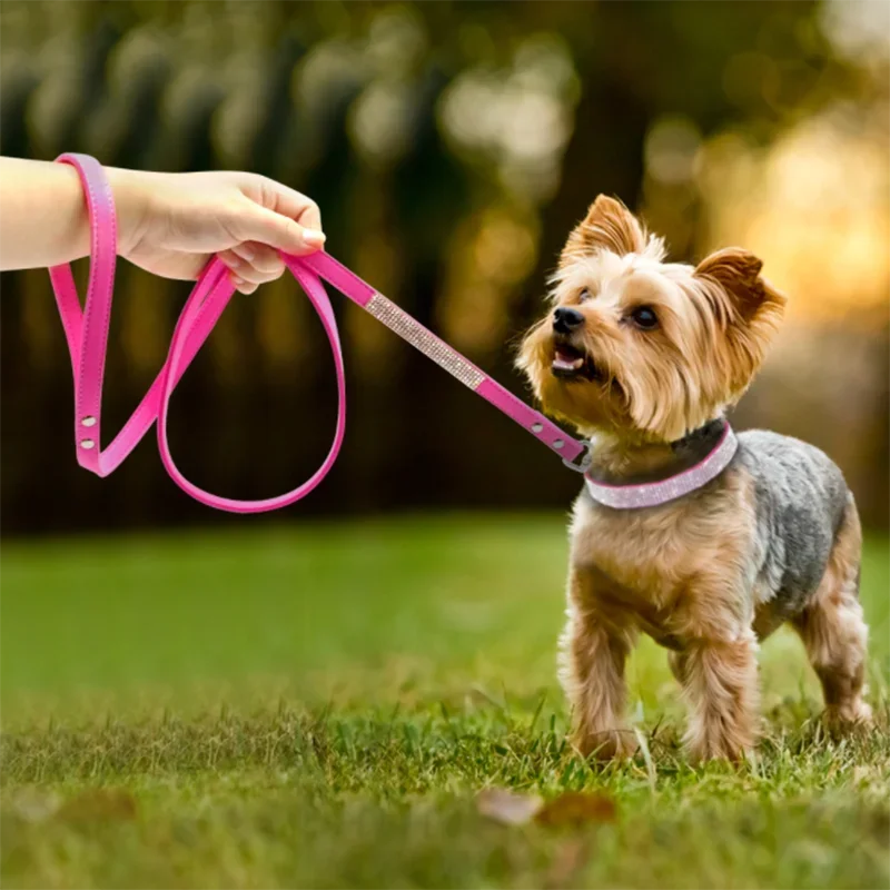 PU Leather Collars for Dogs with Zinc Alloy Buckle & Rhinestones