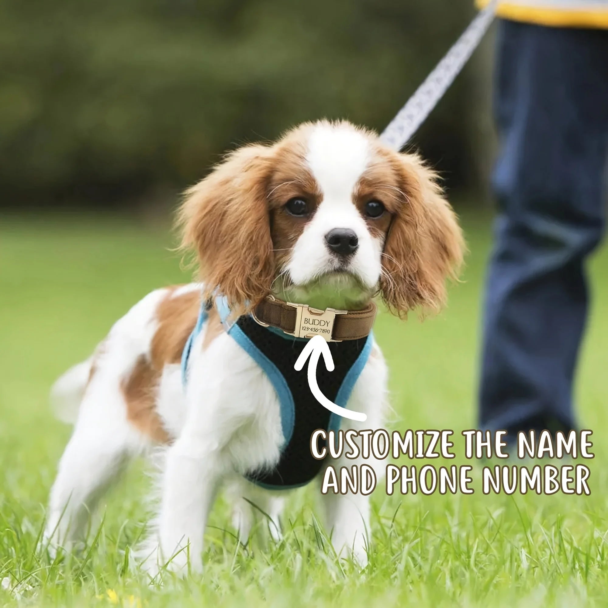 Soft Faux Leather Adjustable Pet Collar - Customize, Engrave, Name Tag, ID Necklace